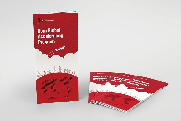 Born Global Accelerating Program