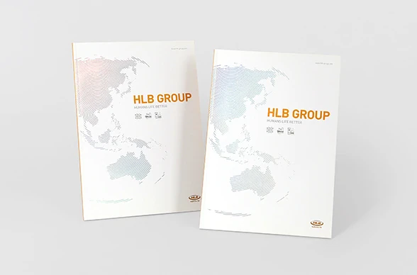HLG GROUP