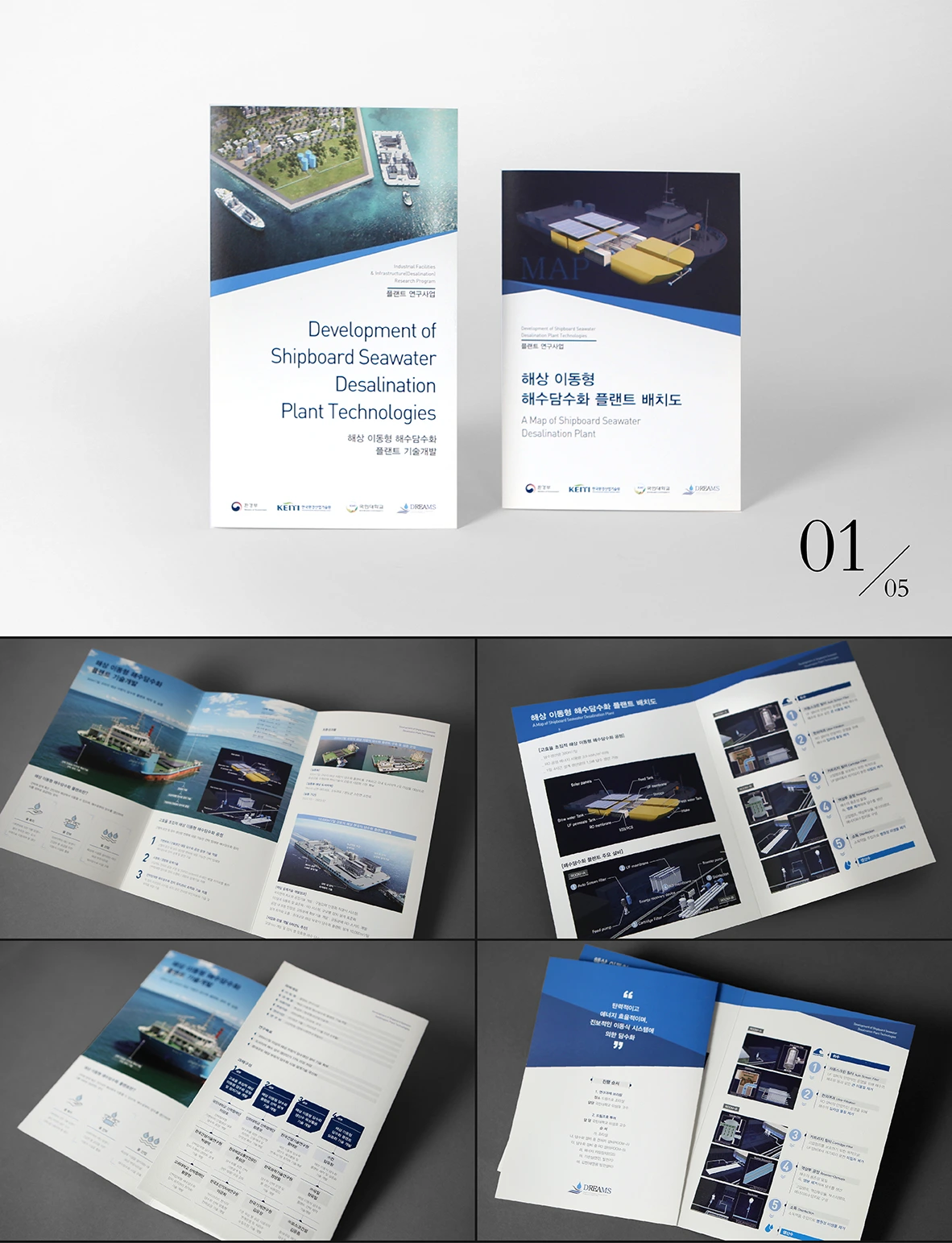 Leaflet Set of DREAMS Research