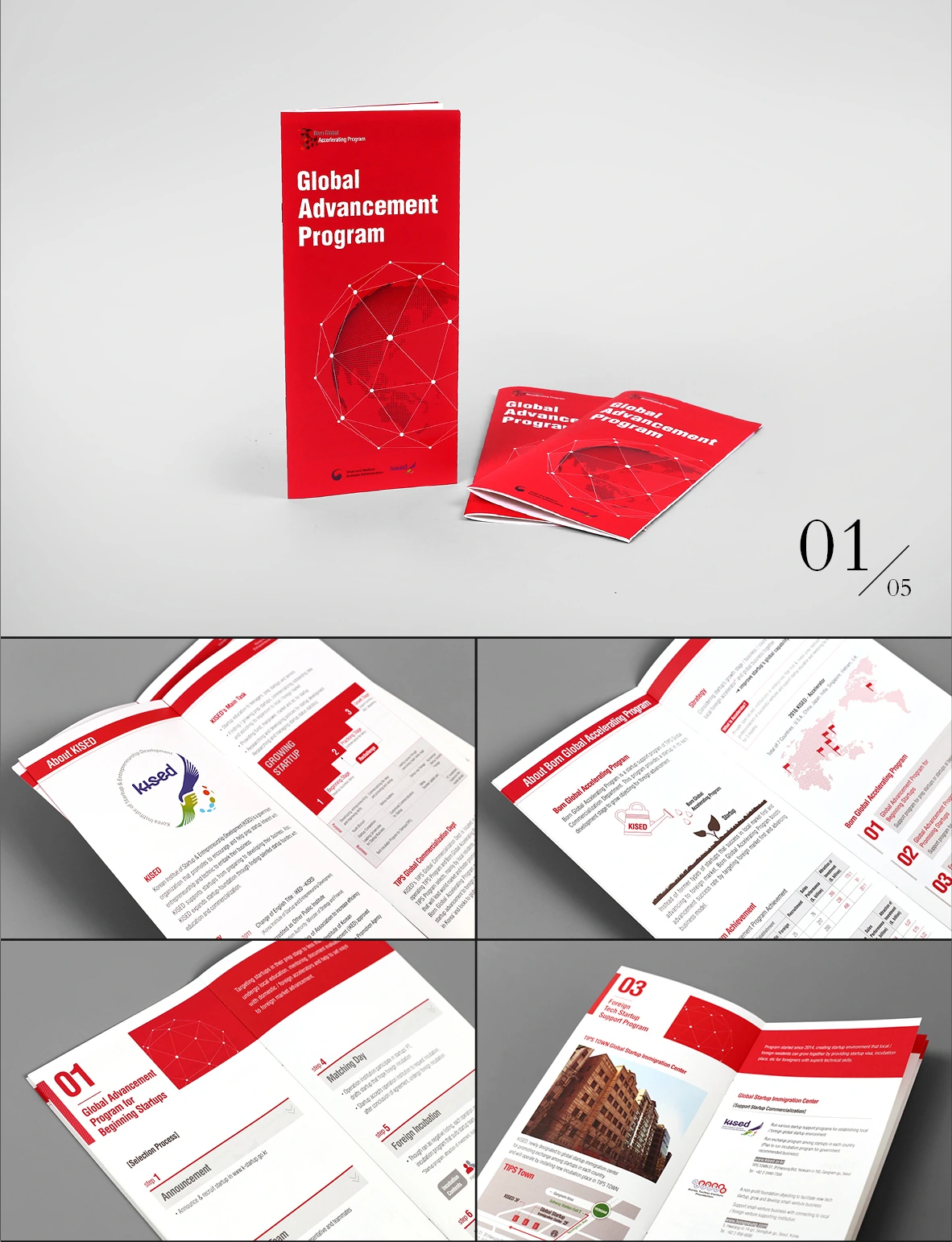 Global Advancement Program