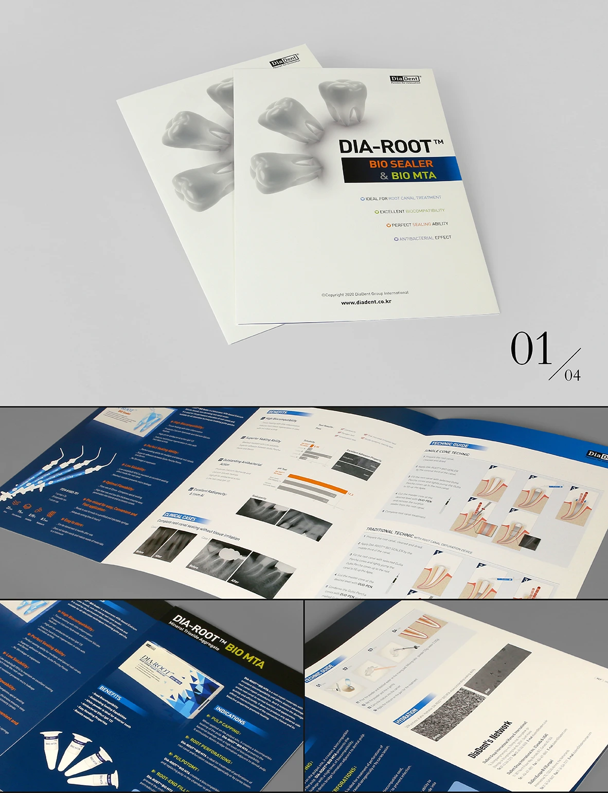 Dia-Root Bio Sealer&Bio Mta
